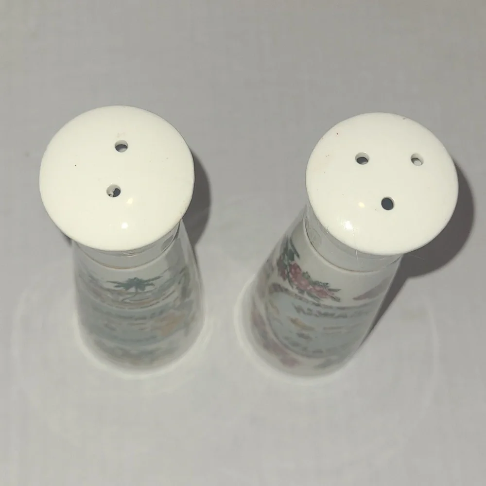 Salt & Pepper Shaker Hawaiian Souvenir purchased 1966 Ceramic Vintage